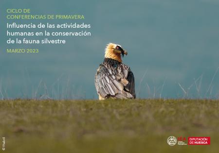Ciclo de conferencias de Primavera en el IEA