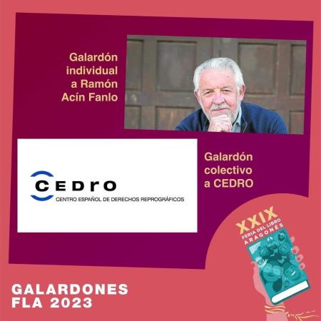 Galardón individual a Ramón Acín Fanlo