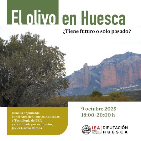 El olivo en Huesca: ¿tiene futuro o solo pasado?