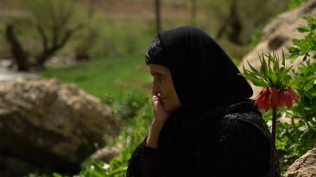 $htmlUtil.escape($alt)