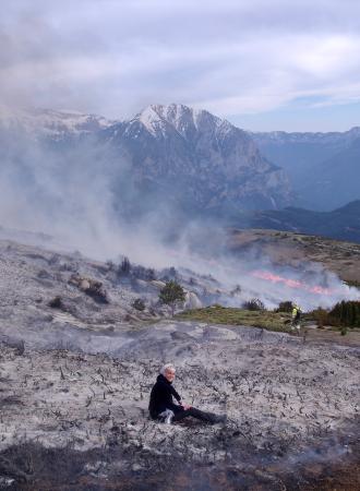 $htmlUtil.escape($alt)