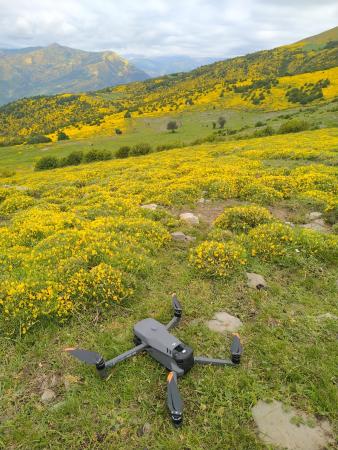 $htmlUtil.escape($alt)