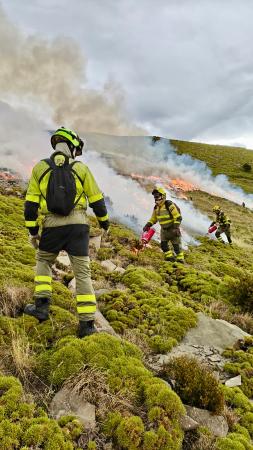 $htmlUtil.escape($alt)