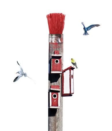 El artista Agustín Alamán, rescatado del olvido por el IEA