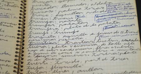 $htmlUtil.escape($alt)