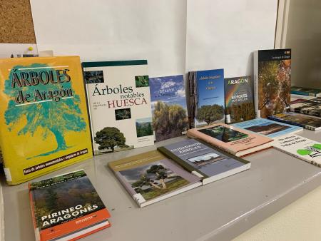 Selección de libros - Tema del mes