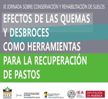 Proyectar_Maquetación 1